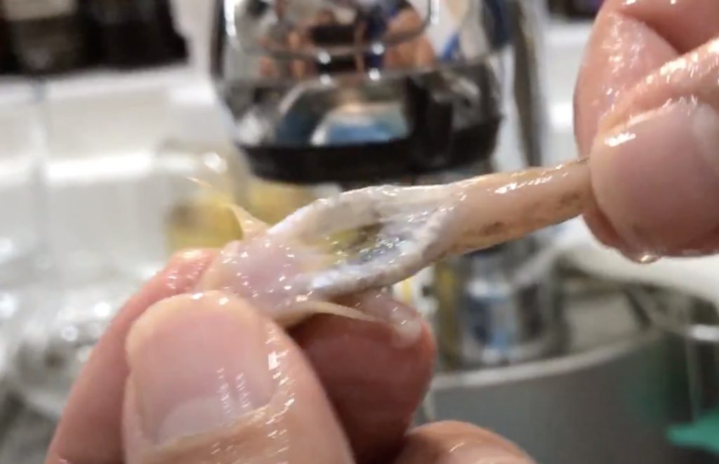 ハゼの腹を割らずに内臓を取り出す方法