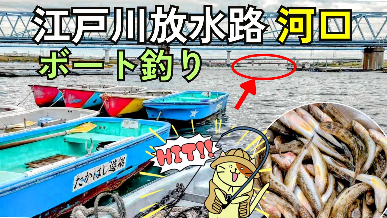 11月「江戸川放水路・河口」たかはし遊船ボート釣り